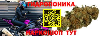 трава Нарткала
