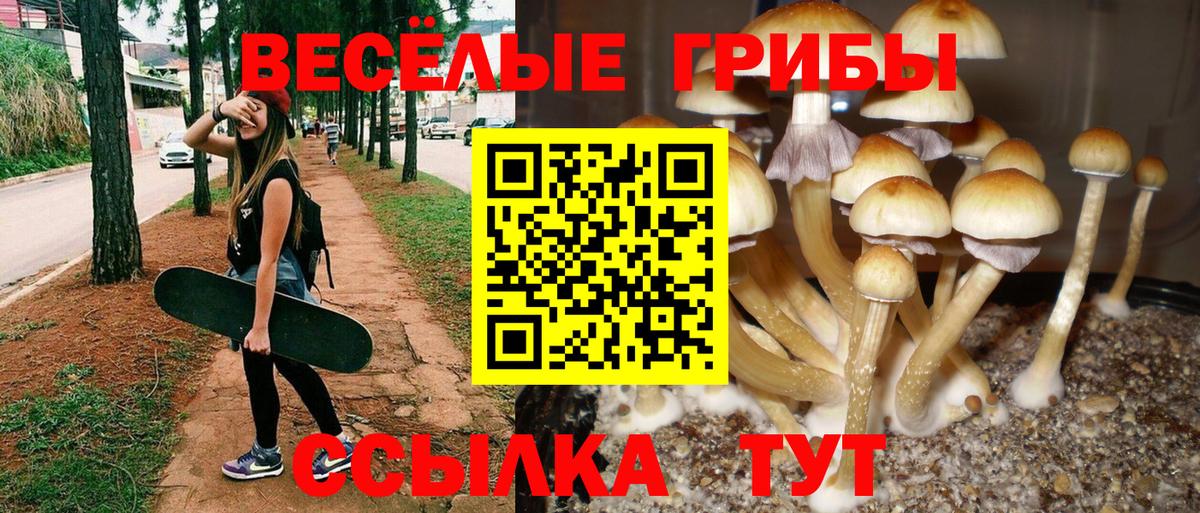 Псилоцибиновые грибы Magic Shrooms Янаул