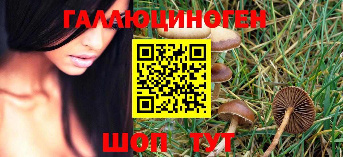 Псилоцибиновые грибы Psilocybine cubensis  Галлюциногенные грибы Magic Shrooms  Вход с VPN  Янаул 